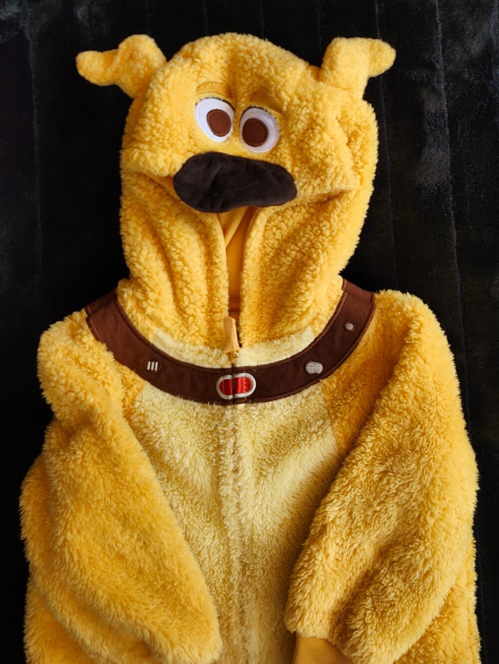 Disney Store Pixar Dug Costume Pajama Romper Jumpsuit Bodysuit Kids UP Dog Size3